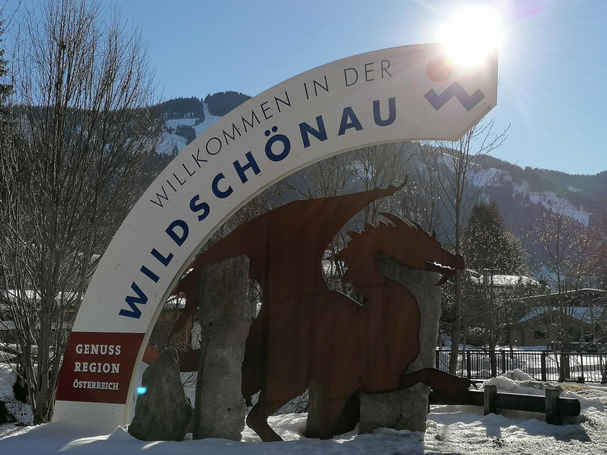 Ferienwohnung Wildschoenau By Fewo-Plan In Panoramalage Wild191 Thierbach ภายนอก รูปภาพ